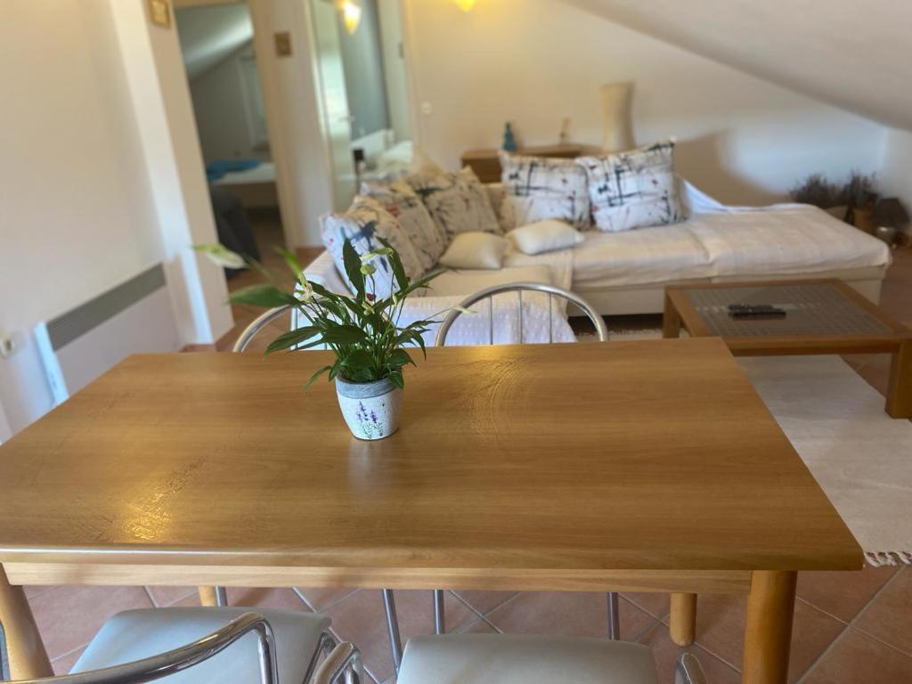 Casa Fumica Apartment Palit Екстериор снимка